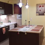Takis House Apartment Kato Panayia
